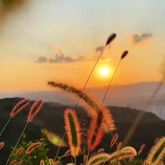 ‌中国健美协会（CBBA）教练员报考方式